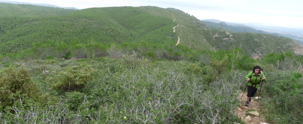 Coll Sostrell al fons