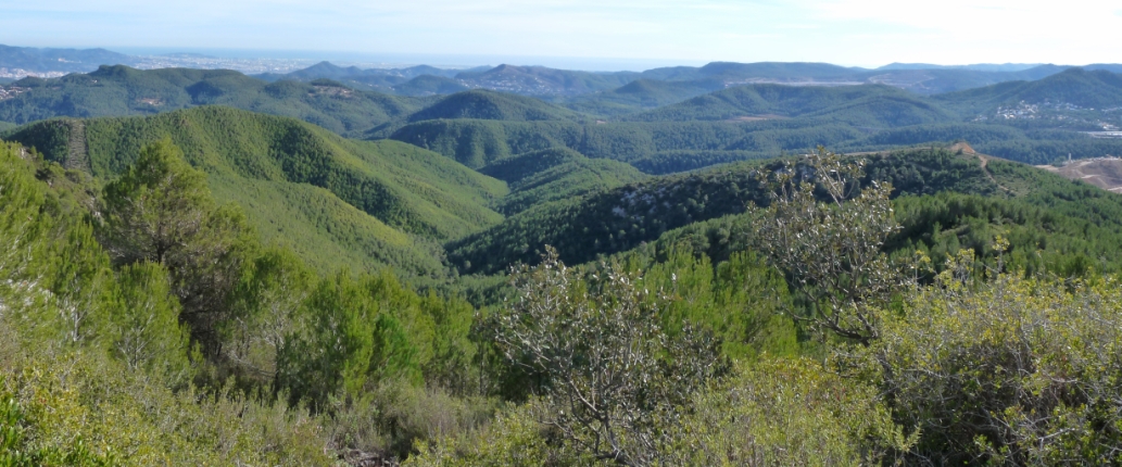 L´Ordal des del Puig d´Agulles
