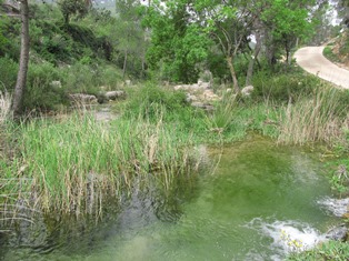 ???????????????????????????????