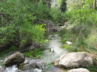 ???????????????????????????????