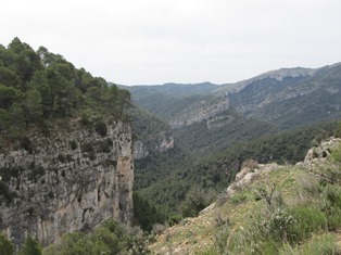 ???????????????????????????????