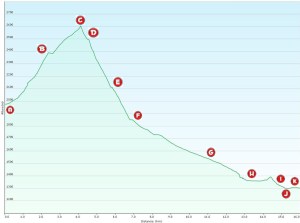 Perfil 84 Núria-Llo_lletres