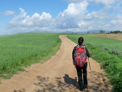 117. Gallecs. De Mollet-Santa Rosa a Parets del Vallès pel bosc d’en&nbsp;Veire