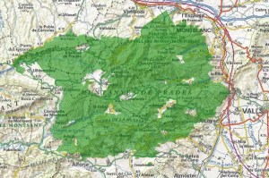 MuntanyesdePrades_gran