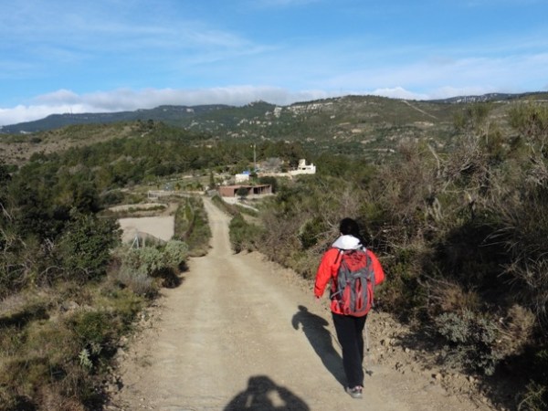 137. De La Selva del Camp a Alcover, per l’Albiol, seguint el GR-65.5 i el PR&nbsp;C-20