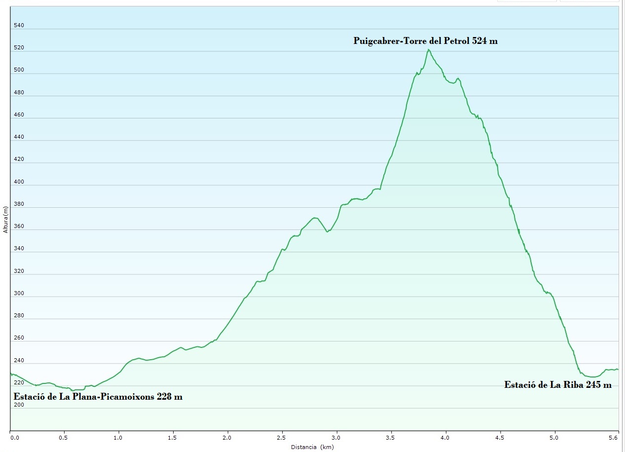 Perfil 139_Picamoixons_La Riba