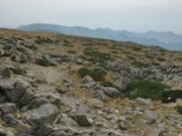 122. La Cuerda Larga. Del Puerto de Navacerrada a Miraflores de la Sierra&nbsp;(Guadarrama)