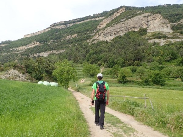 205. De Centelles a Balenyà per la Serra de Fonderola (Puigsagordi, El Castellar i Puig de la Creu) i la MD de&nbsp;l’Ajuda