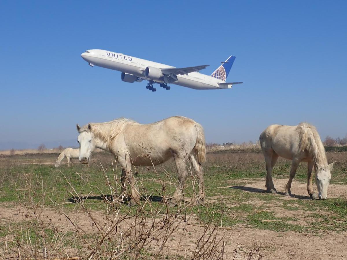 217. El Semàfor i els espais naturals del Delta del&nbsp;Llobregat