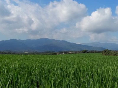 234. De l’estació de Palautordera a la de Cardedeu per St. Antoni de Vilamajor seguint el&nbsp;GR-97