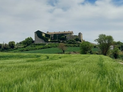 263. Caminada de la Marinada des de l’estació de Sant Guim de Freixenet (la&nbsp;Segarra)